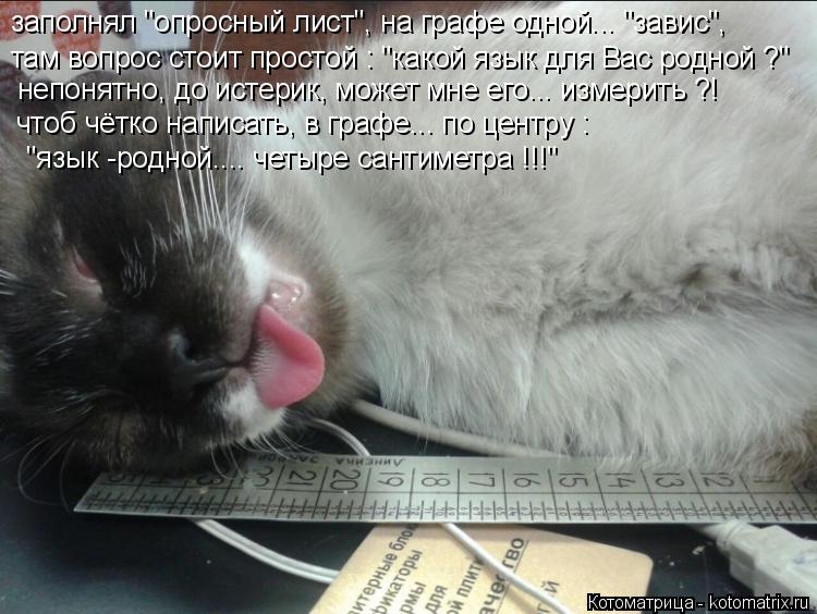 Котоматрица: заполнял "опросный лист", на графе одной... "завис", непонятно, до истерик, может мне его... измерить ?! там вопрос стоит простой : "какой язык для 