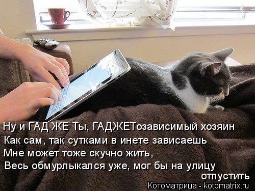 Котоматрица: отпустить  Весь обмурлыкался уже, мог бы на улицу Мне может тоже скучно жить, Как сам, так сутками в инете зависаешь  Ну и ГАД ЖЕ Ты, ГАДЖЕТоза