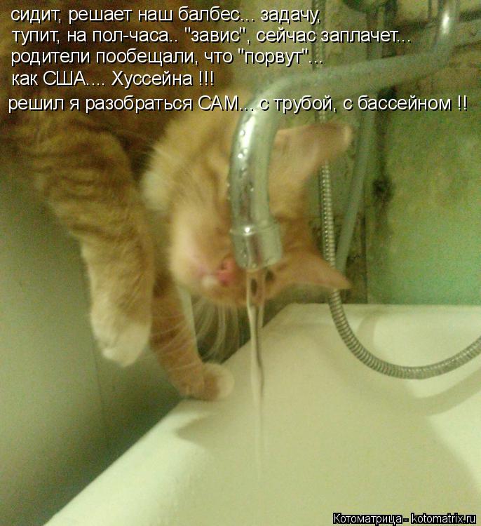 Котоматрица: сидит, решает наш балбес... задачу, тупит, на пол-часа.. "завис", сейчас заплачет... родители пообещали, что "порвут"... как США.... Хуссейна !!! решил