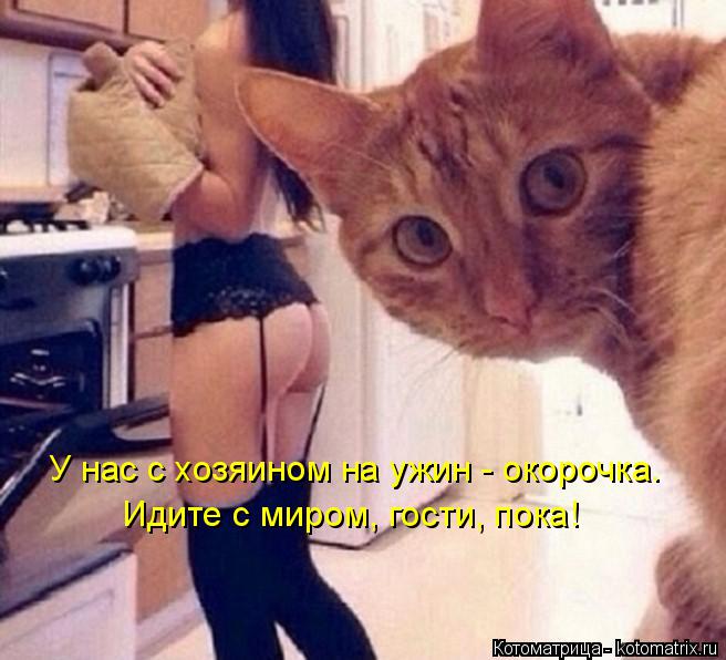 Котоматрица: У нас с хозяином на ужин - окорочка. Идите с миром, гости, пока!