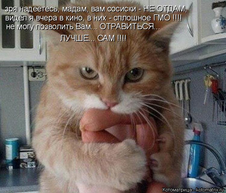Котоматрица: зря надеетесь, мадам, вам сосиски - НЕ ОТДАМ, видел я вчера в кино, в них - сплошное ГМО !!!! не могу позволить Вам... ОТРАВИТЬСЯ... ЛУЧШЕ... САМ !!!!