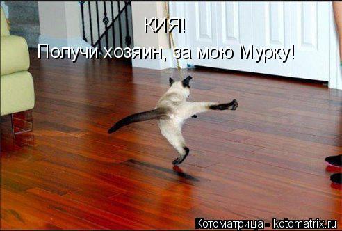 Котоматрица: КИЯ! Получи хозяин, за мою Мурку!