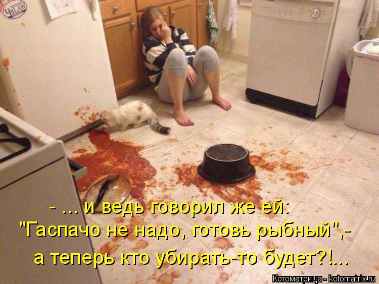 Котоматрица: а теперь кто убирать-то будет?!... "Гаспачо не надо, готовь рыбный",- - ... и ведь говорил же ей: