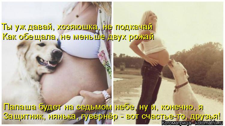 Котоматрица: Защитник, нянька, гувернёр - вот счастье-то, друзья!  Папаша будет на седьмом небе, ну и, конечно, я  Ты уж давай, хозяюшка, не подкачай Как обещ