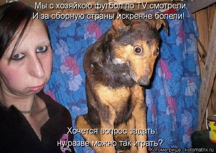 Котоматрица: Хочется вопрос задать: ну разве можно так играть? Мы с хозяйкою футбол по TV смотрели. И за сборную страны искренне болели!