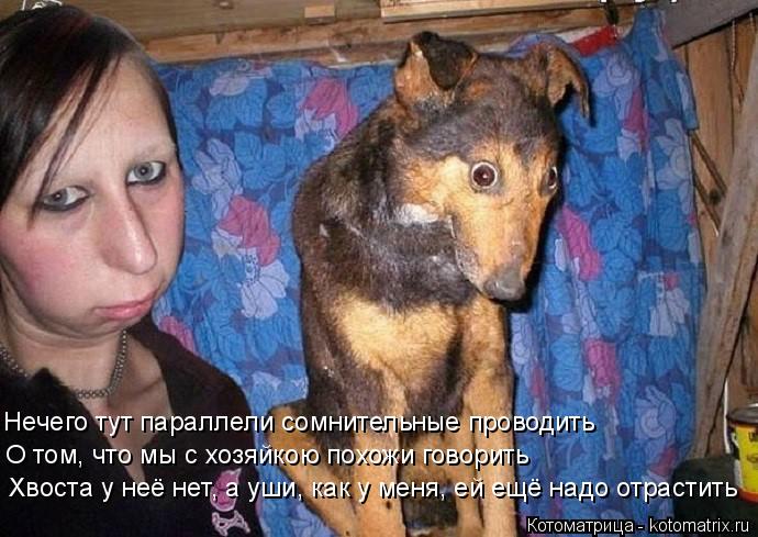 Котоматрица: Хвоста у неё нет, а уши, как у меня, ей ещё надо отрастить О том, что мы с хозяйкою похожи говорить     Нечего тут параллели сомнительные провод