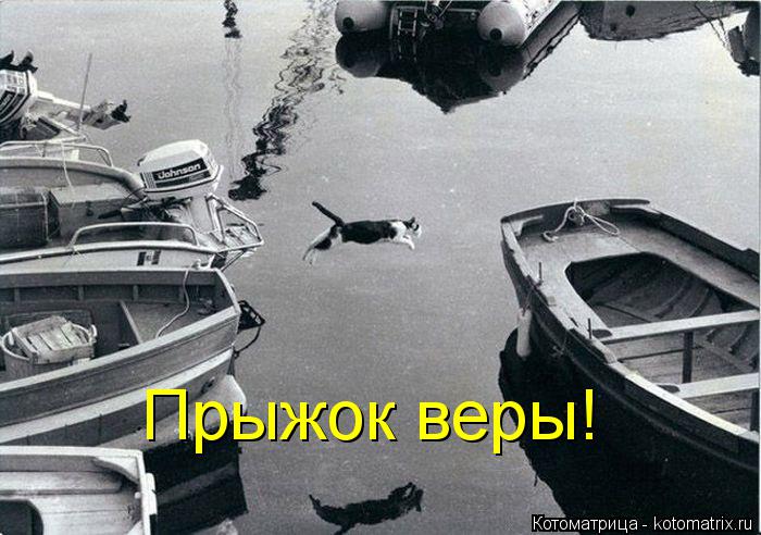 Котоматрица: Прыжок веры!