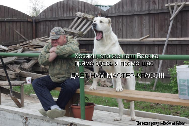 Котоматрица: Хозяин, это же наш Васька прямо здесь и прямо щас ДАЁТ НАМ МАСТЕР-КЛАСС!!!