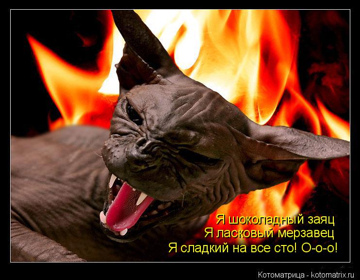 Я шоколадный заяц Я ласковый мерзавец Я сладкий на все сто! О-о-о!... Котоматрица: Я шоколадный заяц Я ласковый мерзавец Я сладкий на все сто! О-о-о!