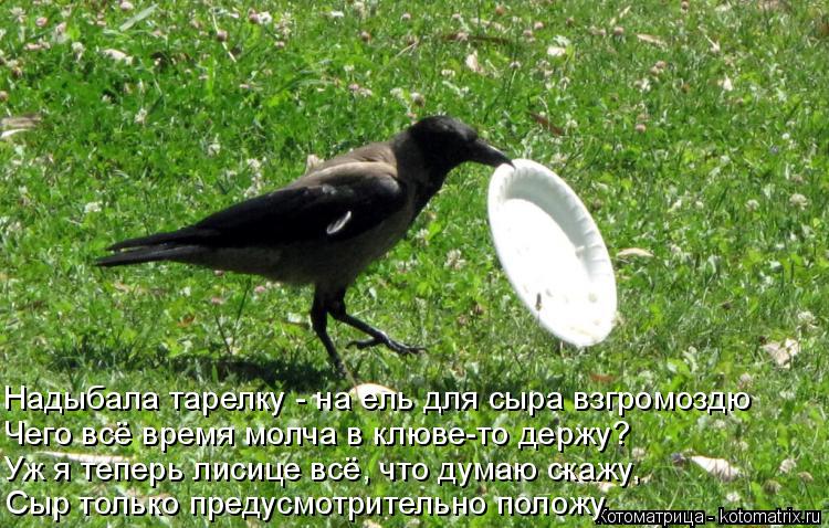 Котоматрица: Сыр только предусмотрительно положу Уж я теперь лисице всё, что думаю скажу, Чего всё время молча в клюве-то держу? Надыбала тарелку - на ель 