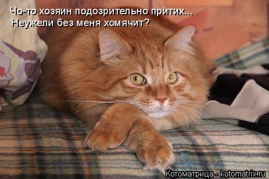 Котоматрица: Чо-то хозяин подозрительно притих... Неужели без меня хомячит?