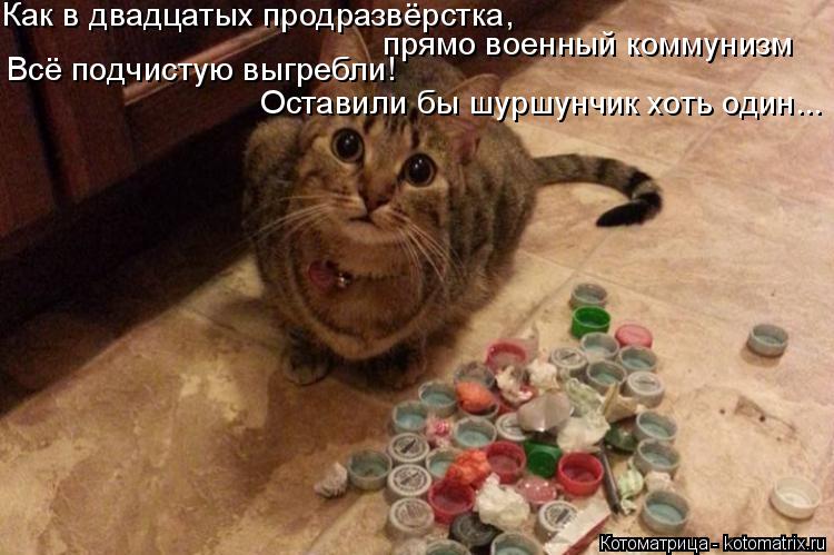 Котоматрица: Как в двадцатых продразвёрстка,  Всё подчистую выгребли! прямо военный коммунизм  Оставили бы шуршунчик хоть один...