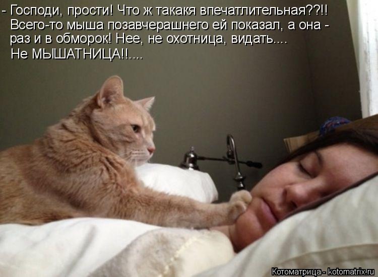 Котоматрица: - Господи, прости! Что ж такакя впечатлительная??!! Всего-то мыша позавчерашнего ей показал, а она -  раз и в обморок! Нее, не охотница, видать.... 