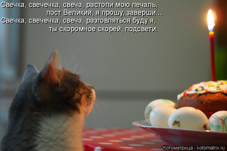 Котоматрица: пост Великий, я прошу, заверши... ты скоромное скорей, подсвети. Свечка, свечечка, свеча, растопи мою печаль, Свечка, свечечка, свеча, разговля