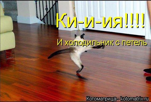 Котоматрица: Ки-и-ия!!!! И холодильник с петель