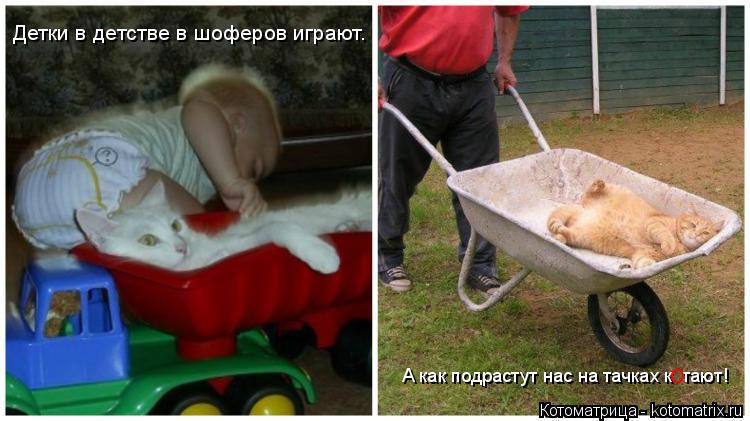 Котоматрица: Детки в детстве в шоферов играют. А как подрастут нас на тачках к  тают! О