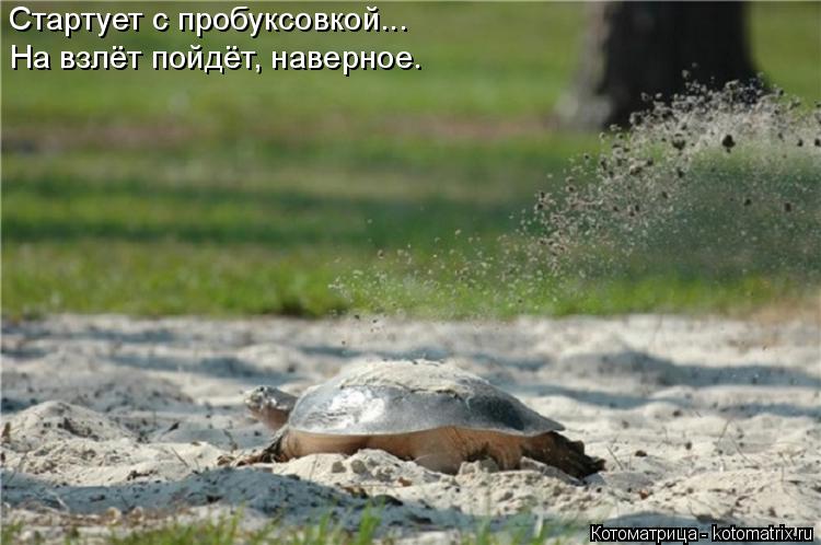 Котоматрица: Стартует с пробуксовкой... На взлёт пойдёт, наверное.