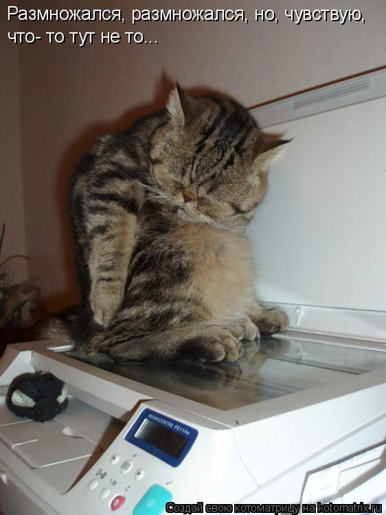 Котоматрица: Размножался, размножался, но, чувствую, что- то тут не то...