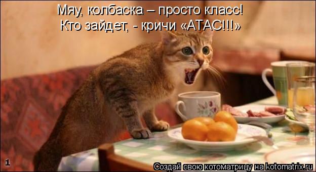 Котоматрица: Мяу, колбаска – просто класс! Кто зайдет, - кричи «АТАС!!!»