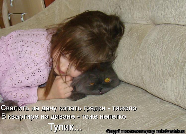 Котоматрица: Свалить на дачу копать грядки - тяжело В квартире на диване - тоже нелегко  Тупик...