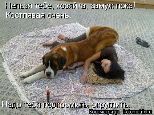 Котоматрица: Нельзя тебе, хозяйка, замуж пока! Костлявая очень! Надо тебя подкормить, округлить...