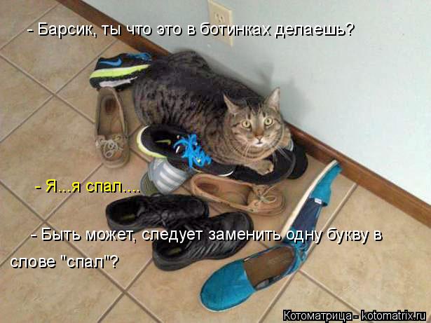 Котоматрица: - Барсик, ты что это в ботинках делаешь? - Я...я спал.... - Быть может, следует заменить одну букву в слове "спал"?