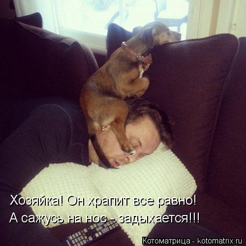 Котоматрица: Хозяйка! Он храпит все равно! А сажусь на нос - задыхается!!!