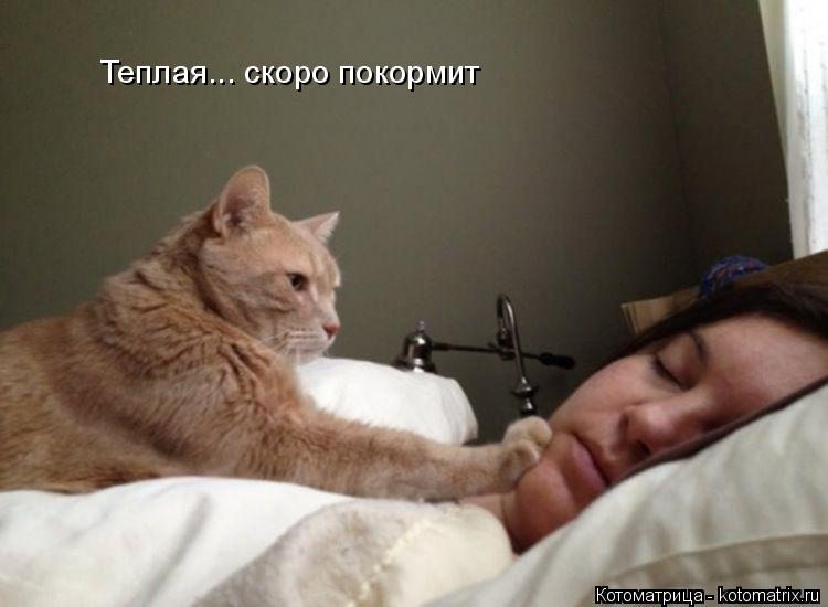 Котоматрица: Теплая... скоро покормит