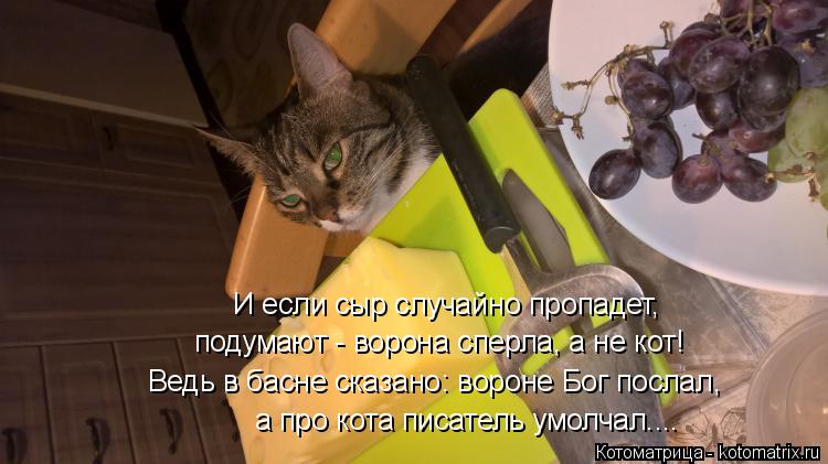 Котоматрица: И если сыр случайно пропадет, подумают - ворона сперла, а не кот! Ведь в басне сказано: вороне Бог послал, а про кота писатель умолчал....