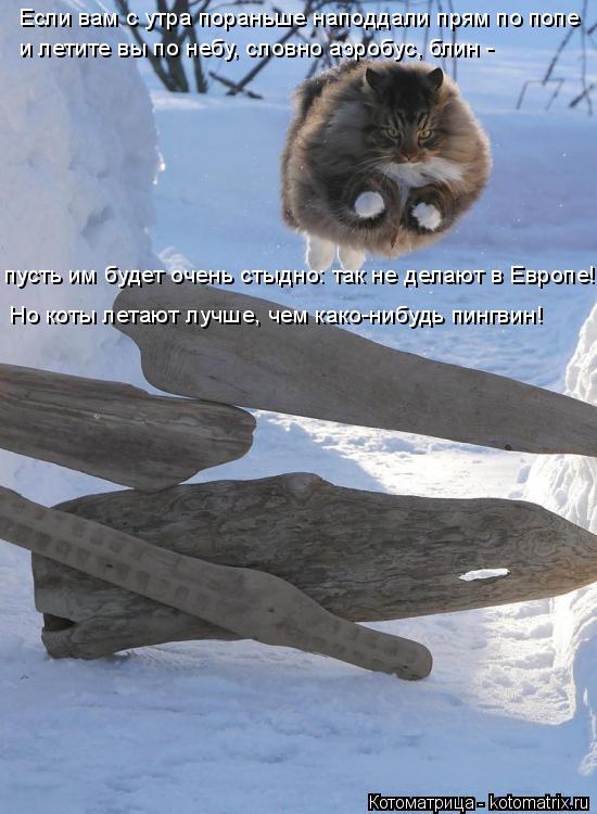 Котоматрица: Если вам с утра пораньше наподдали прям по попе пусть им будет очень стыдно: так не делают в Европе! и летите вы по небу, словно аэробус, блин 
