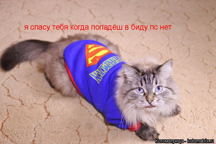 Котоматрица: я спасу тебя когда попадёш в биду пс нет