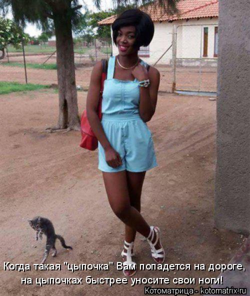 Котоматрица: Когда такая "цыпочка" Вам попадется на дороге, на цыпочках быстрее уносите свои ноги!