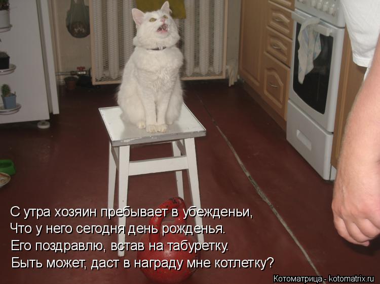 Котоматрица: С утра хозяин пребывает в убежденьи,  Что у него сегодня день рожденья. Его поздравлю, встав на табуретку. Быть может, даст в награду мне котл