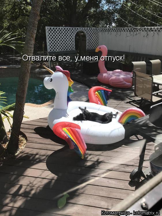 Котоматрица: Отвалите все, у меня отпуск!