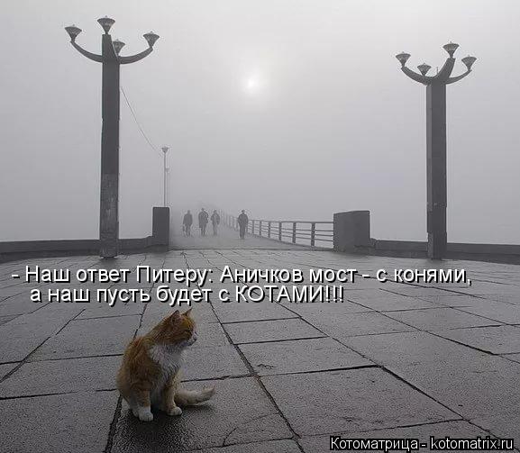 Котоматрица: - Наш ответ Питеру: Аничков мост - с конями,  а наш пусть будет с КОТАМИ!!!