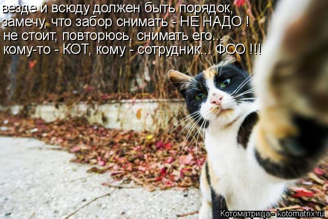 Котоматрица: везде и всюду должен быть порядок, замечу, что забор снимать - НЕ НАДО ! не стоит, повторюсь, снимать его... кому-то - КОТ, кому - сотрудник... ФСО !