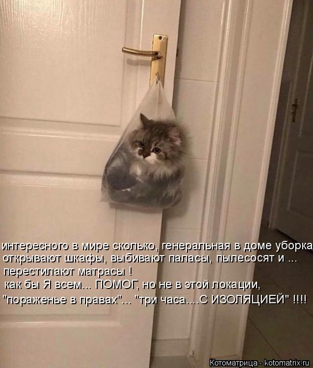 Котоматрица: интересного в мире сколько, генеральная в доме уборка открывают шкафы, выбивают паласы, пылесосят и ... перестилают матрасы ! как бы Я всем... 