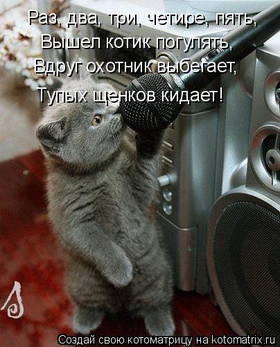 Котоматрица: Раз, два, три, четире, пять, Вышел котик погулять, Вдруг охотник выбегает, Тупых щенков кидает!