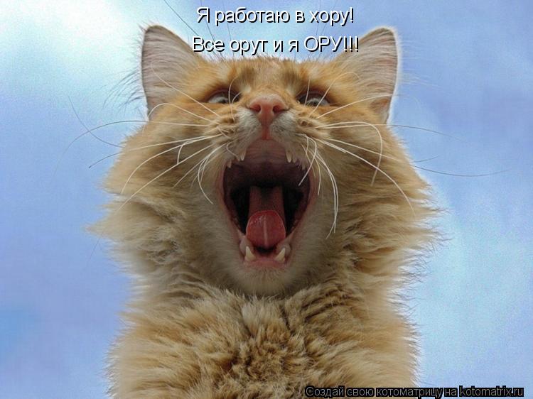Котоматрица: Я работаю в хору! Все орут и я ОРУ!!!