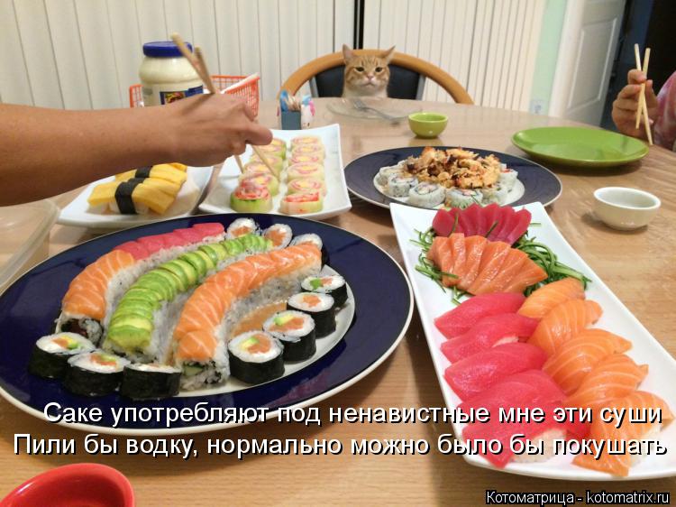Котоматрица: Саке употребляют под ненавистные мне эти суши  Пили бы водку, нормально можно было бы покушать
