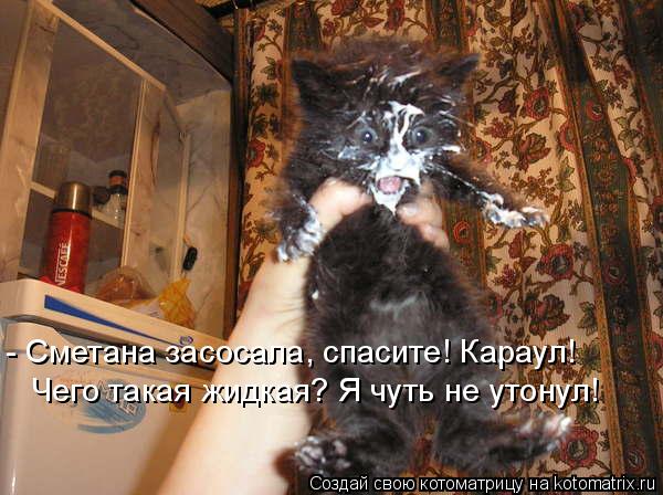 Котоматрица: - Сметана засосала, спасите! Караул!  Чего такая жидкая? Я чуть не утонул!