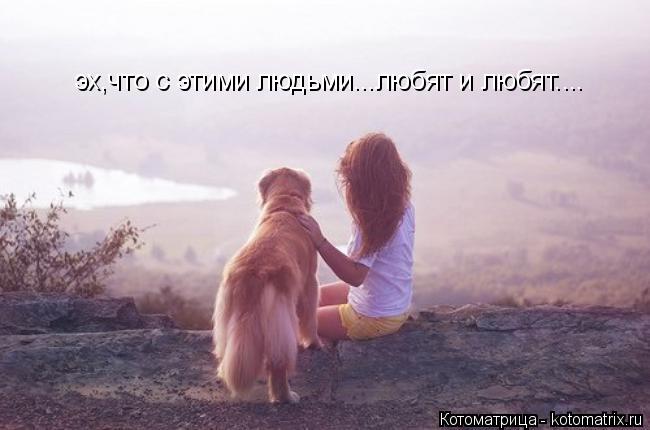 Котоматрица: эх,что с этими людьми...любят и любят....