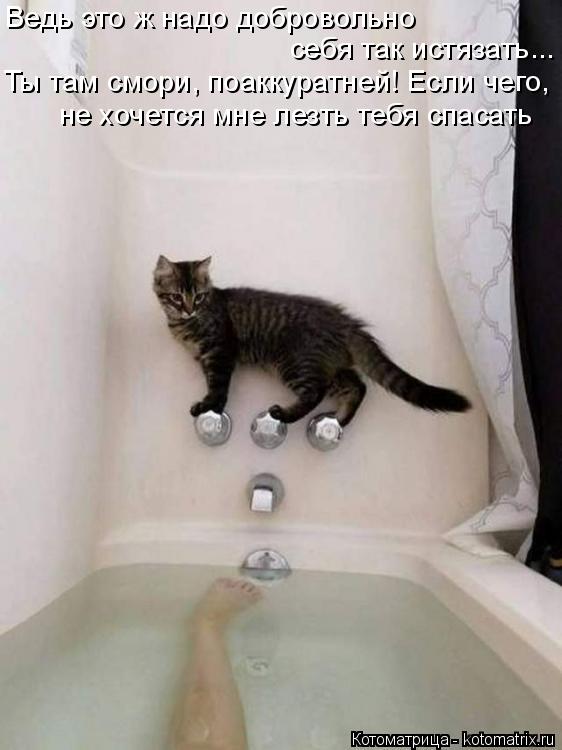 Котоматрица: Ведь это ж надо добровольно себя так истязать... Ты там смори, поаккуратней! Если чего, не хочется мне лезть тебя спасать