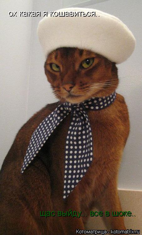 Котоматрица: ох какая я кошавиться.. щас выйду... все в шоке..