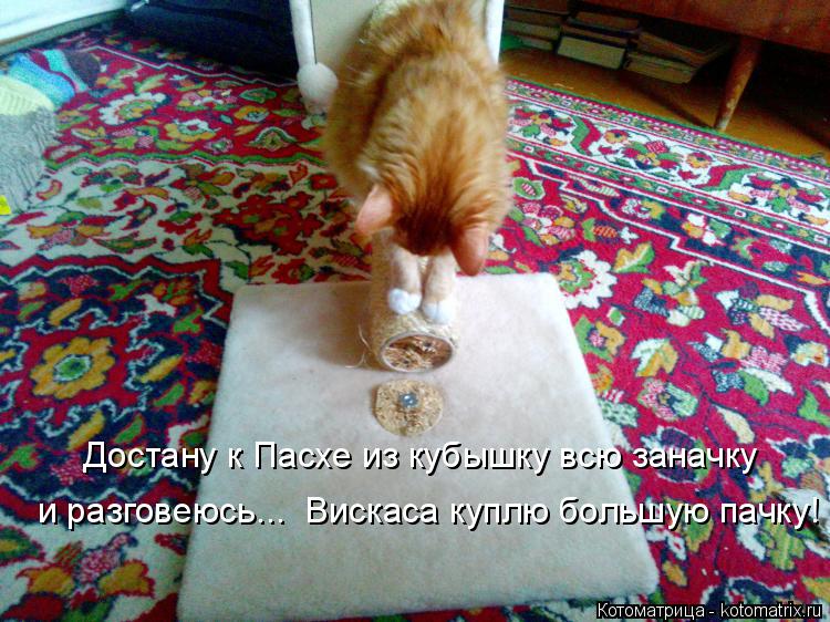 Котоматрица: Достану к Пасхе из кубышку всю заначку и разговеюсь...  Вискаса куплю большую пачку!