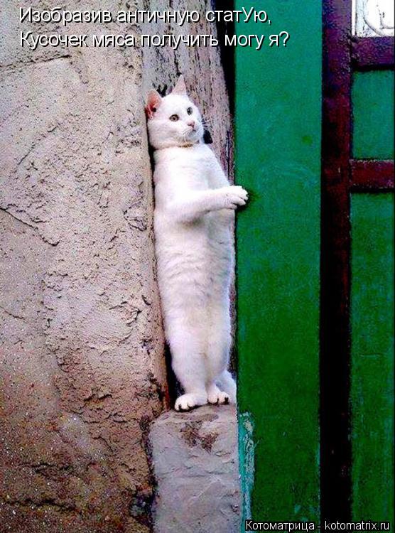 Котоматрица: Изобразив античную статУю, Кусочек мяса получить могу я?