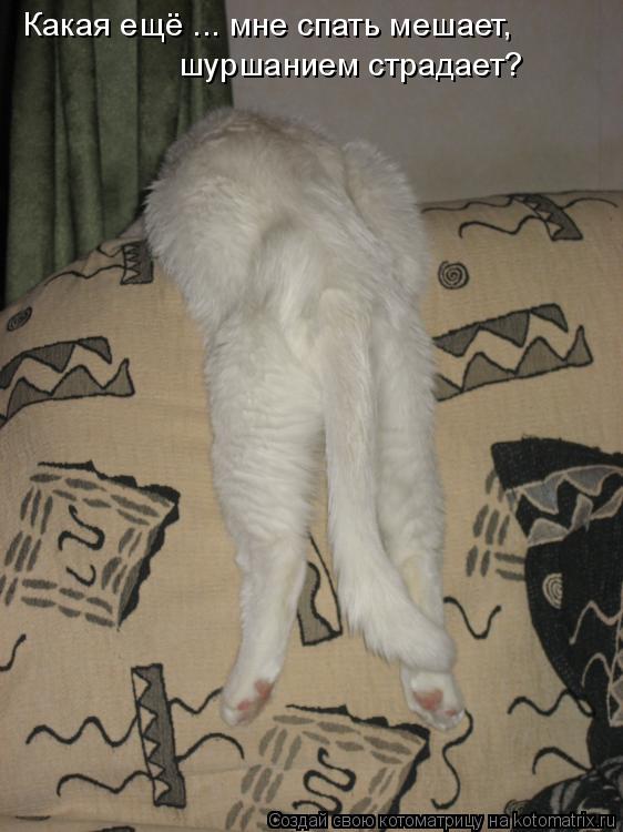 Котоматрица: Какая ещё ... мне спать мешает,  шуршанием страдает?
