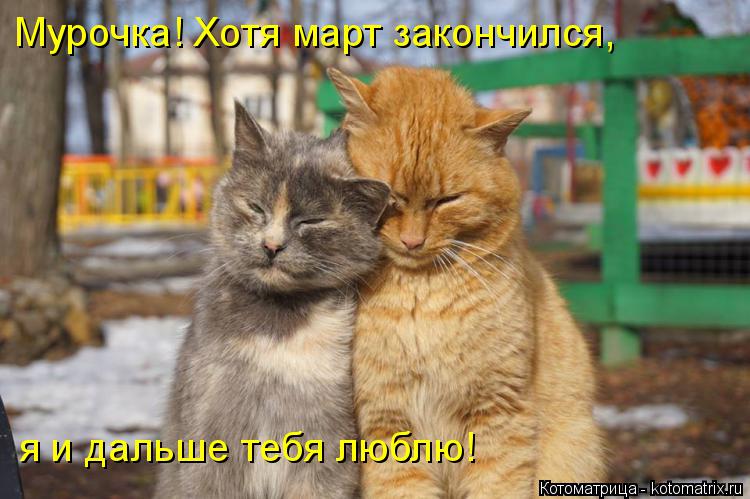 Котоматрица: Мурочка! Хотя март закончился,  я и дальше тебя люблю!