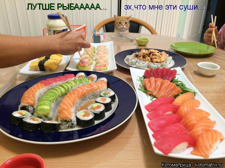 Котоматрица: эх,что мне эти суши... ЛУТШЕ РЫБААААА...