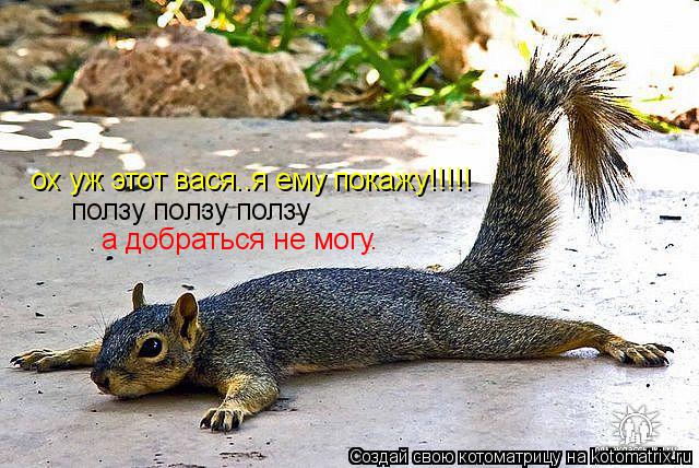 Котоматрица: ползу ползу ползу а добраться не могу. ох уж этот вася..я ему покажу!!!!!